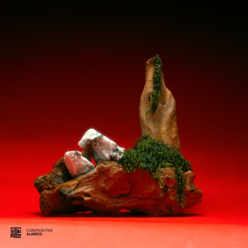 T3R026 Curation Five: Alarico T3R026 Curation Five: Alarico